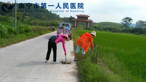 1.驻村第一书记组织全体村干开展“清洁乡村”的活动.jpg
