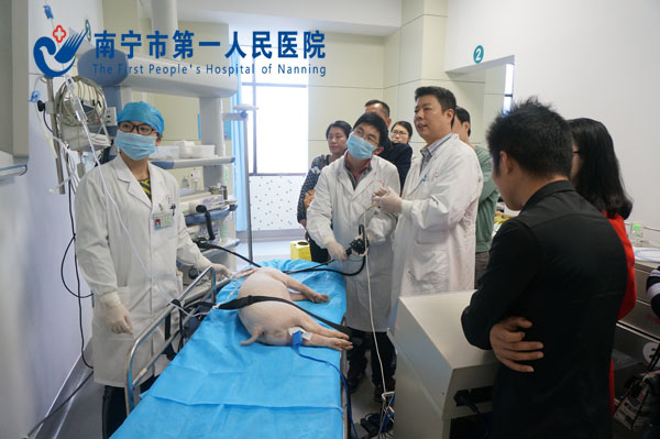 动物实验内镜操作现场.jpg