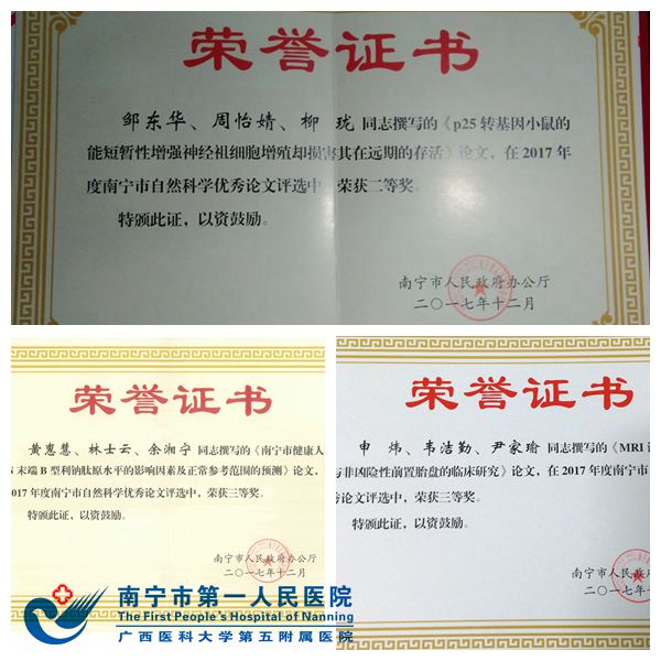 1.荣誉证书.jpg
