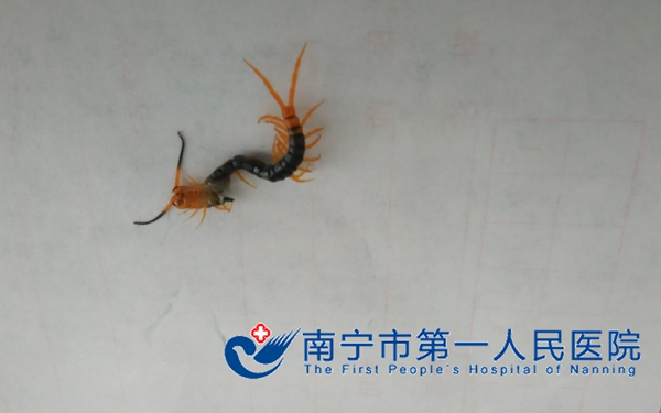 图片2取出物.jpg