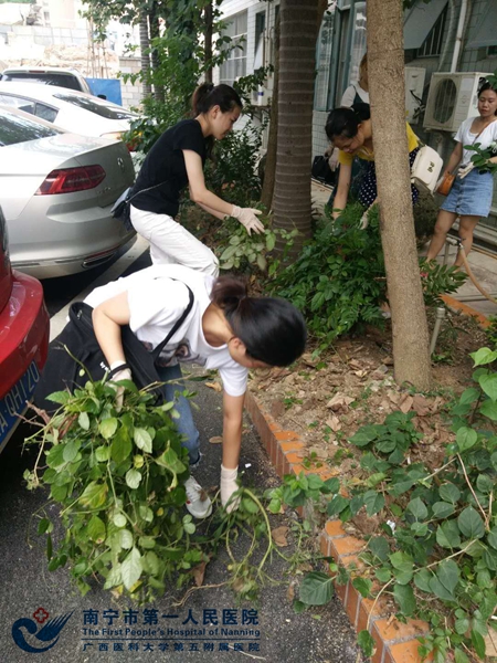 1.绿化带清除杂草.jpg